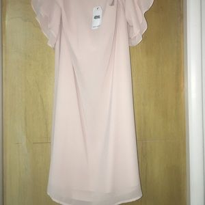NWT- NAKED ZEBRA shift dress-Blush